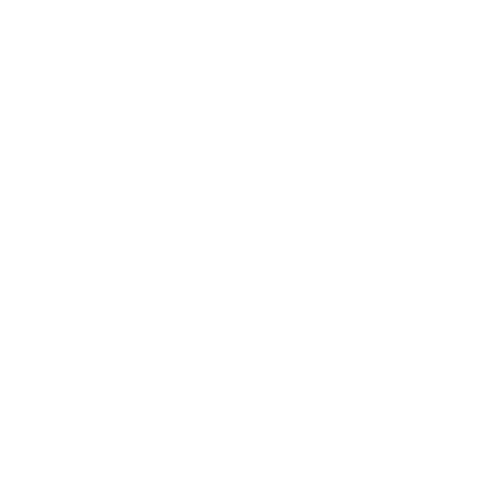 AYN Agency